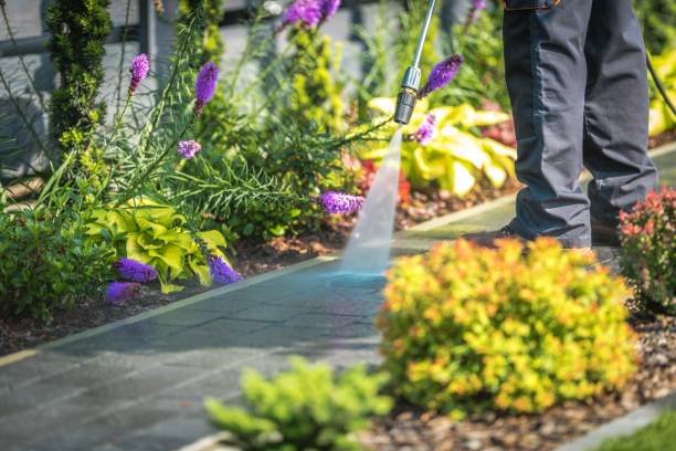 Best Boat and Dock Cleaning  in Okanogan, WA